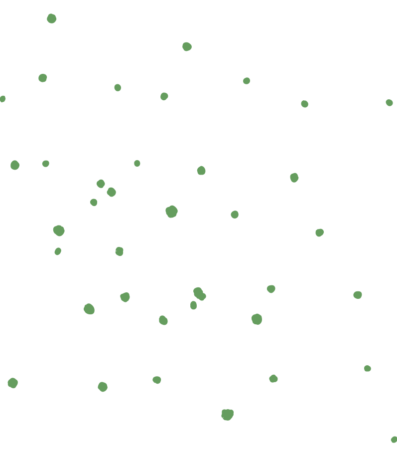 points vert