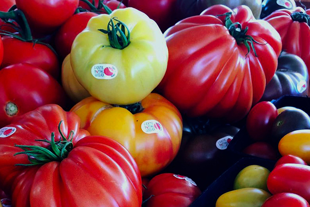 tomates ancestrales Dorothée l'épicurienne